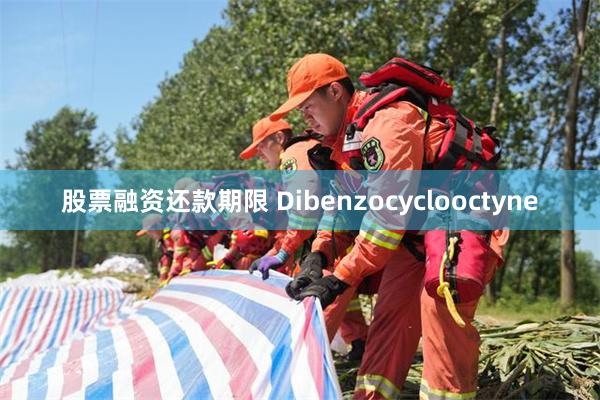 股票融资还款期限 Dibenzocyclooctyne