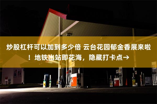 炒股杠杆可以加到多少倍 云台花园郁金香展来啦！地铁出站即花海，隐藏打卡点→
