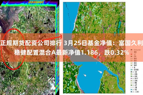 正规期货配资公司排行 3月25日基金净值：富国久利稳健配置混合A最新净值1.186，跌0.32%