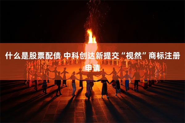 什么是股票配债 中科创达新提交“视然”商标注册申请