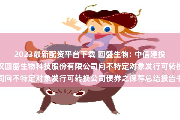2023最新配资平台下载 回盛生物: 中信建投证券股份有限公司关于武汉回盛生物科技股份有限公司向不特定对象发行可转换公司债券之保荐总结报告书