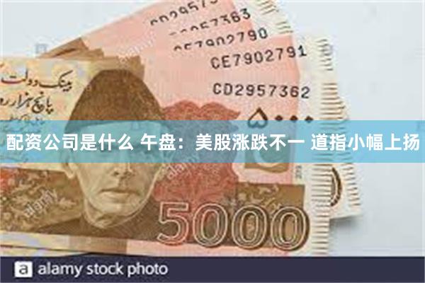 配资公司是什么 午盘：美股涨跌不一 道指小幅上扬