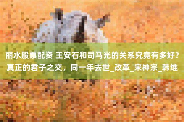 丽水股票配资 王安石和司马光的关系究竟有多好？真正的君子之交，同一年去世_改革_宋神宗_韩维