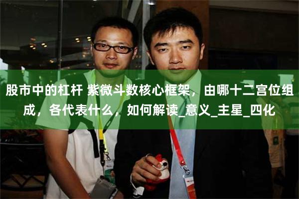 股市中的杠杆 紫微斗数核心框架，由哪十二宫位组成，各代表什么，如何解读_意义_主星_四化