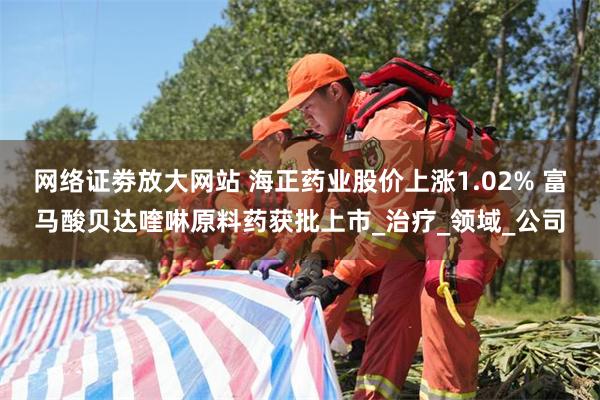 网络证劵放大网站 海正药业股价上涨1.02% 富马酸贝达喹啉原料药获批上市_治疗_领域_公司