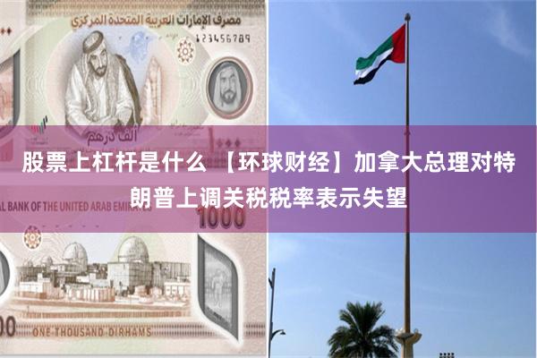 股票上杠杆是什么 【环球财经】加拿大总理对特朗普上调关税税率表示失望