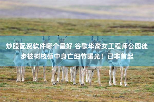 炒股配资软件哪个最好 谷歌华裔女工程师公园徒步被树枝砸中身亡细节曝光！已非首起