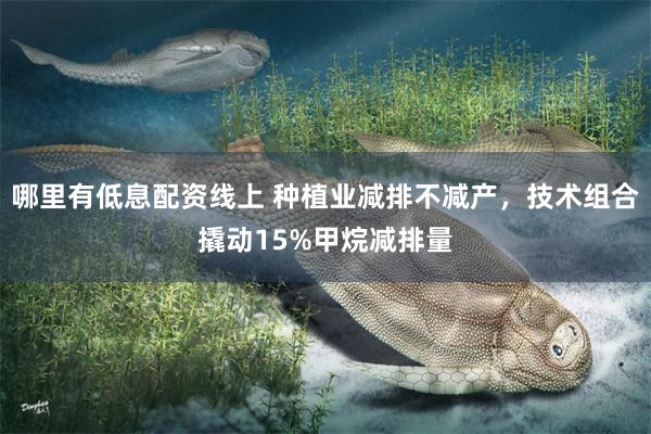 哪里有低息配资线上 种植业减排不减产，技术组合撬动15%甲烷减排量