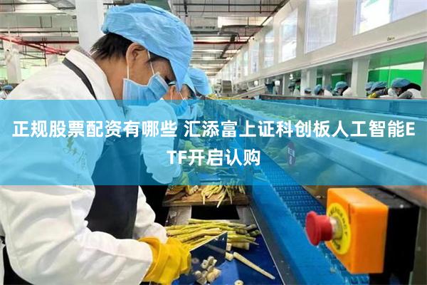 正规股票配资有哪些 汇添富上证科创板人工智能ETF开启认购